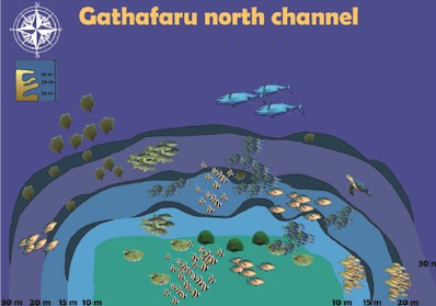 Gathafaru North Channel